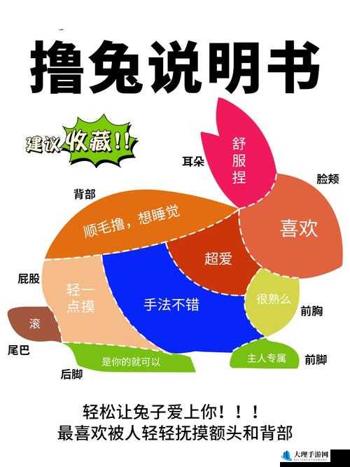 动如脱兔，全面解析红心利用技巧与实战攻略