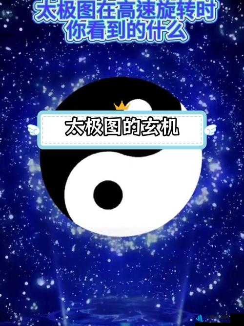 牌师萌新攻略，揭秘太极牌师的无限循环套路