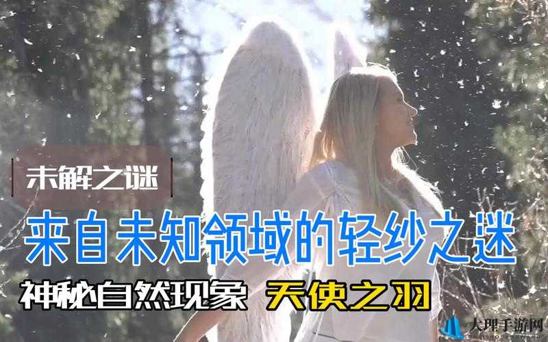 欧美乄乄乄0O0：神秘的未知领域