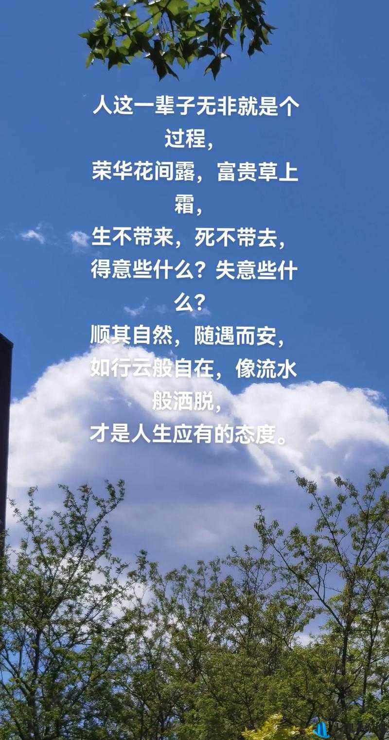 成全高清免费版与普通版对比：高清更胜一筹