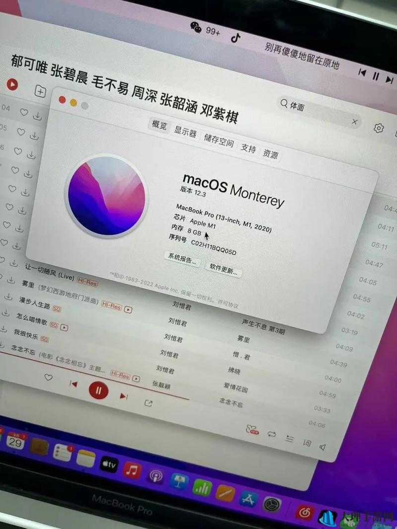 完整性少妇 macbookpro 全新体验