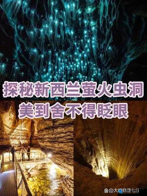 深渊探秘：萤火虫武器全面解析