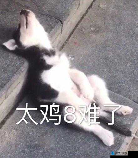 霸：鸡上背单词，鸡：我太难了