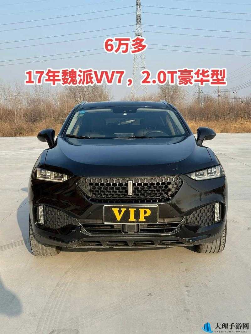 WEY 国产 MPV 最新款评测：深度解析与全面洞察