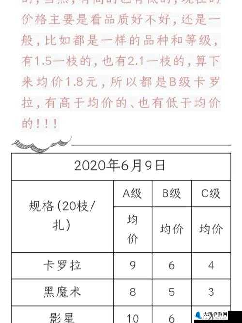 玫瑰系列价格对比：不同款式价格差异分析