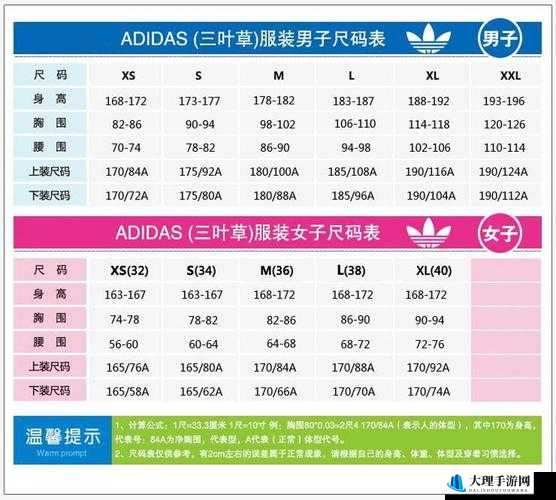 三叶草 M 码与欧洲码对比详情