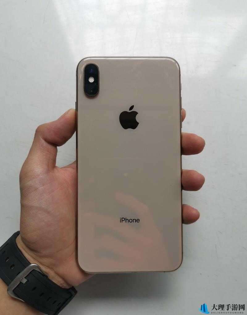 iPhoneXSMax 欧美高级探析：深度洞察其魅力所在