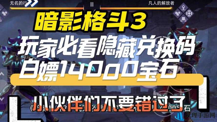 暗影格斗3促销码大放送：限时优惠，速抢好礼