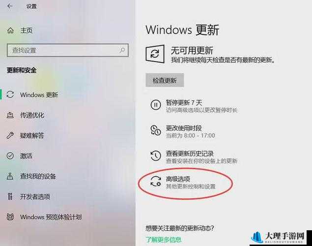 中国高清Windows视频软件画质之谜：深度解析