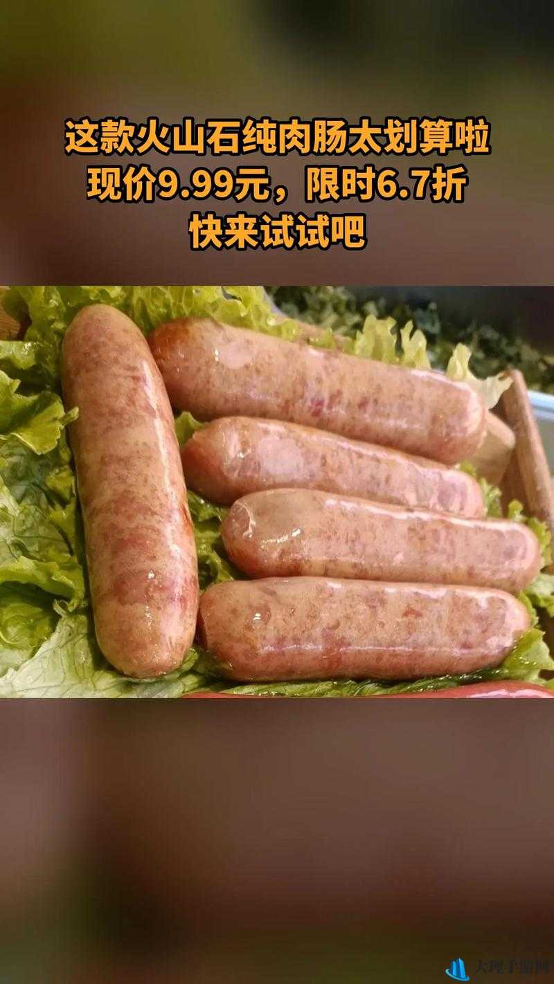 小洞需要大肉肠资源失效了：原因及影响