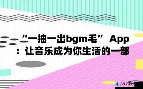 一抽一出 BGM 毛：独特的音乐魅力