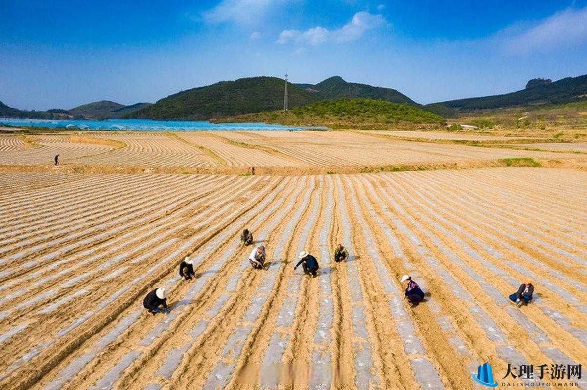 儿子耕种母亲田地：此为何名