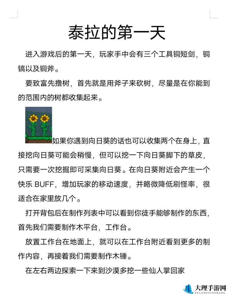 杜翠兰疑案攻略：上篇下篇全流程详解及线索关联