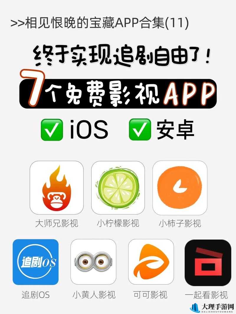 成品影视 APP 开发公司：专业定制服务引领者