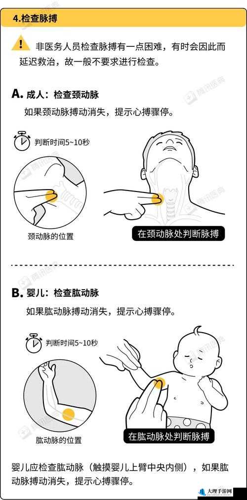 中老年人的大 BwBwB：探索生命的另一种可能