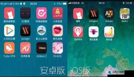 十八禁网站视频 app 破解版：畅享精彩资源