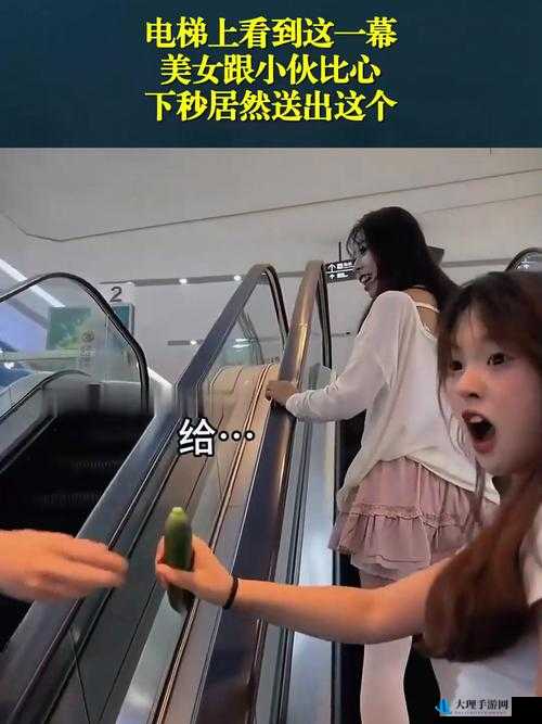 电梯邂逅美女：一场奇妙的缘分之旅