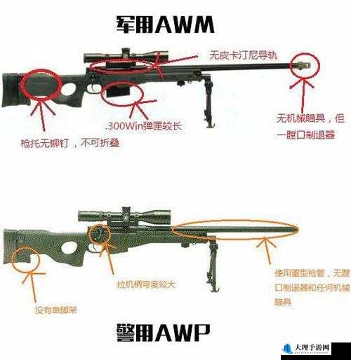 日本 csgo 大姐姐 AWP 多少钱：价格探究