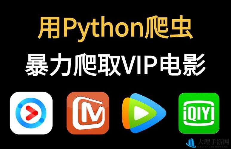 小电影网站 PYTHON 爬虫：探索未知的世界