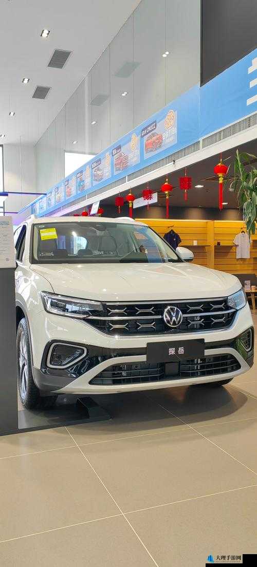 国产 SUV 精品 201：展现卓越品质