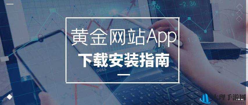 黄金网站APP视频播放画质选择：多种模式供您选