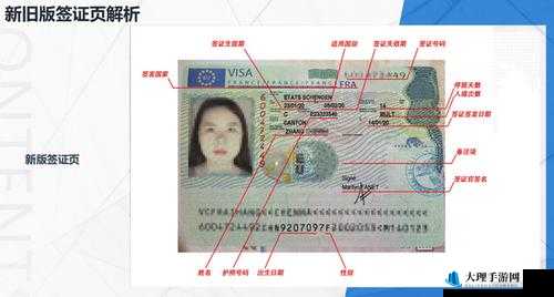 解析 JANPENSE VISA 全方面解读