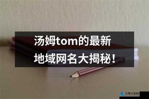 tom 地域网名入口在线：你的便捷通道