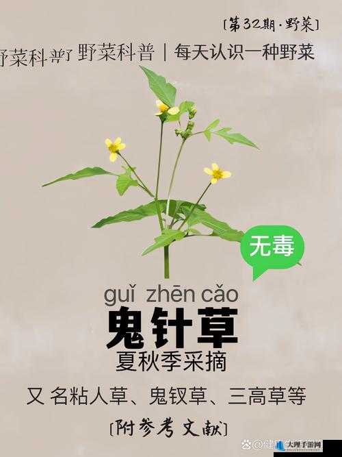 伽罗腿法一针界限：揭秘神奇技法