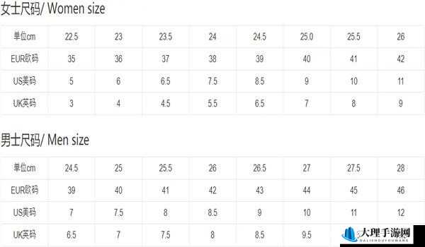 亚洲尺码、欧洲尺码专线：精准对接，满足您的尺码需求