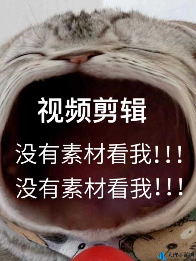 一个人找视频的方法与途径