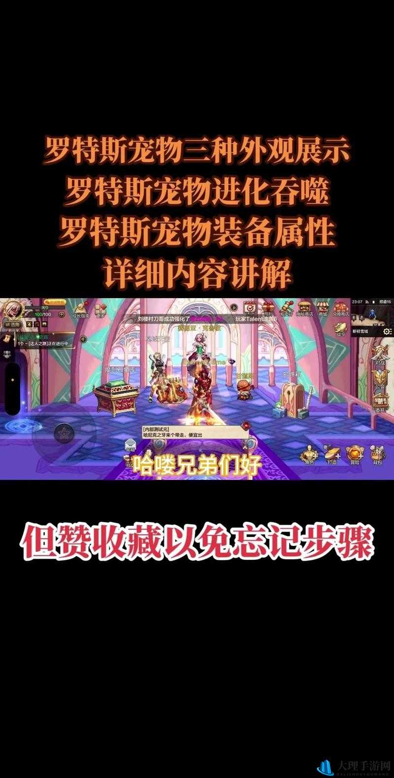 DNF手游：罗特斯宠物购买攻略与价值解析