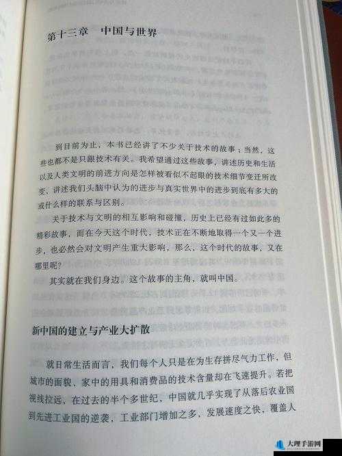 《深入探索OTXO双刃：技术与创新的双面利刃》