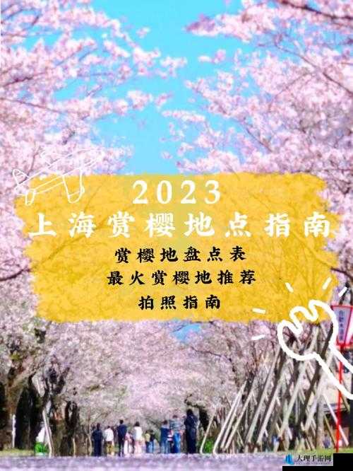 樱花官方正版官网入口 2023：精彩呈现