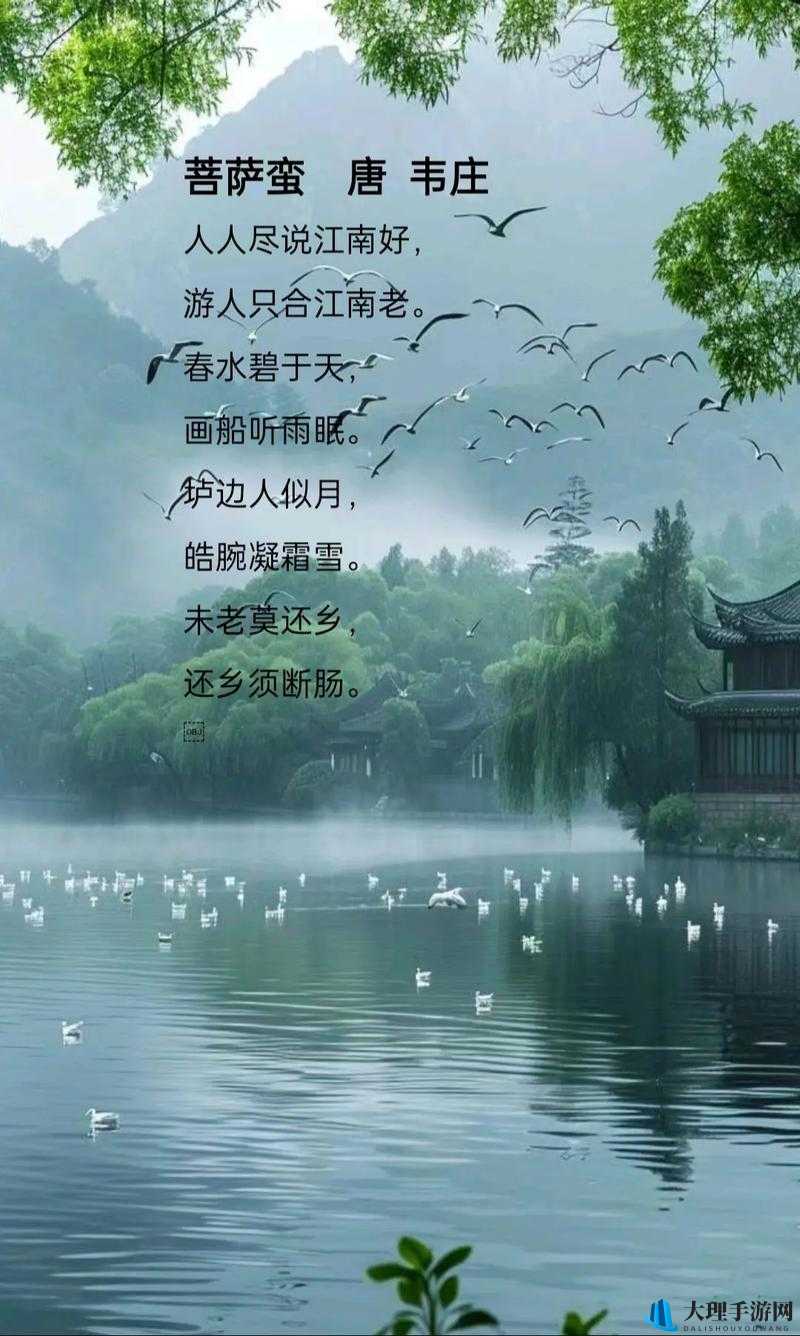 江南烟雨醉，浊酒寻梦处