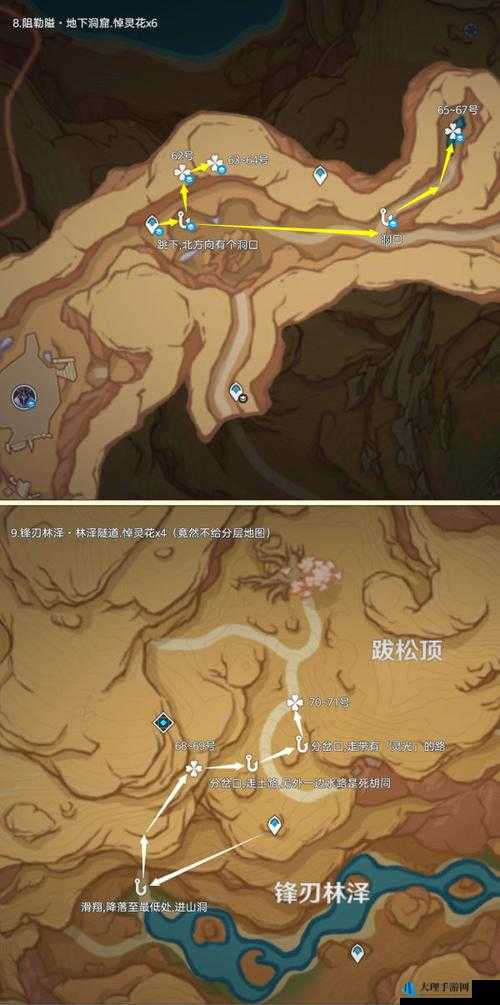 《探寻原神悼灵花神秘所在，详解花海藏宝之地》