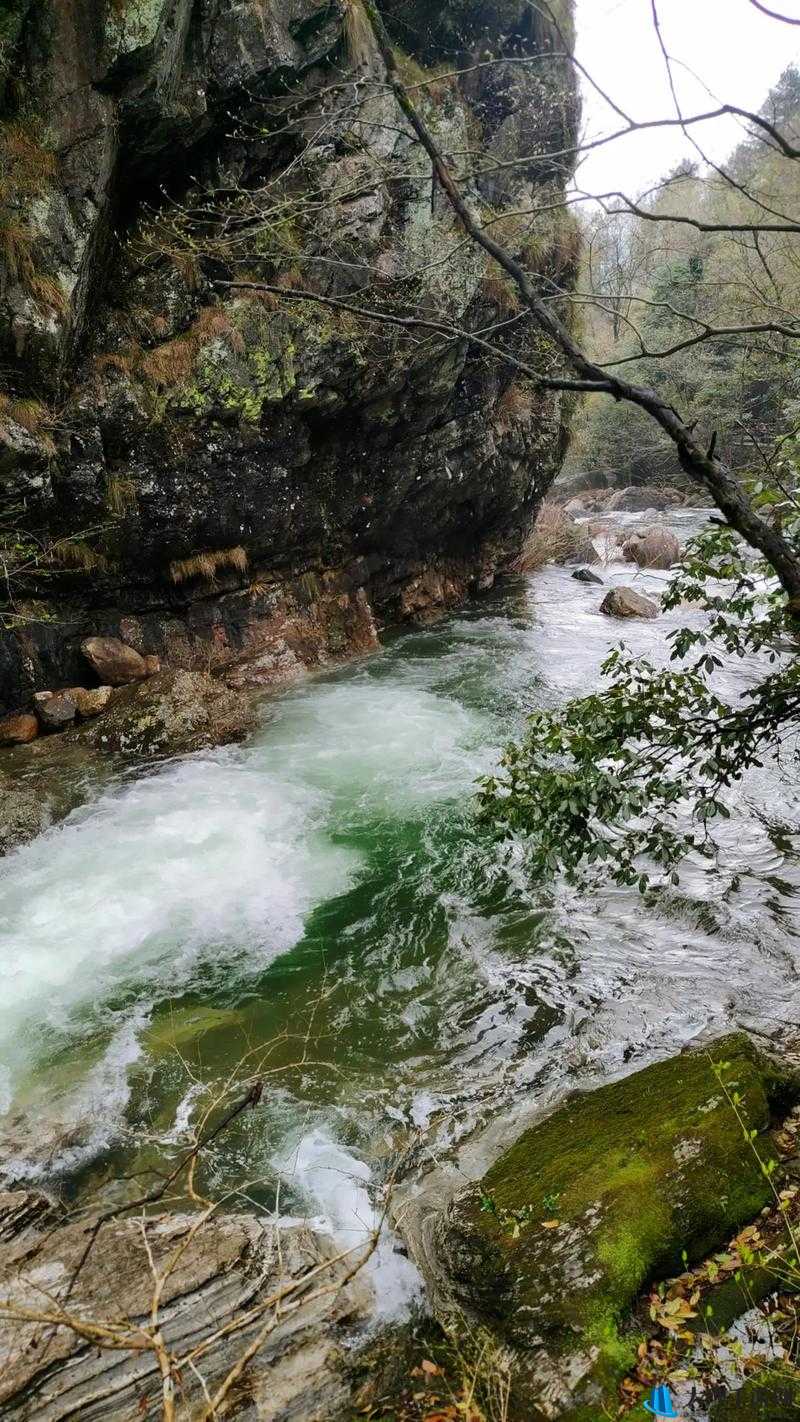 卧虎藏龙秘境探险：伙伴同行心得分享