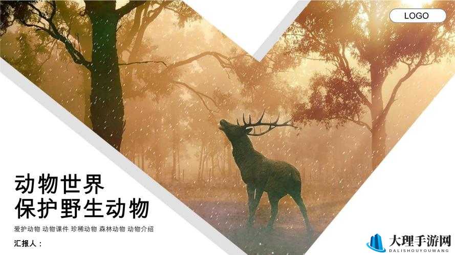 人与动物 ppt 免费模板：精彩呈现