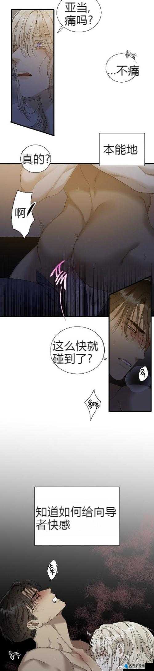 韩漫免费阅读全集漫画污污：精彩内容等你来看