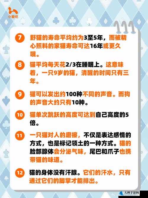 暴食大作战新手必备开局攻略：技巧与注意事项全解析