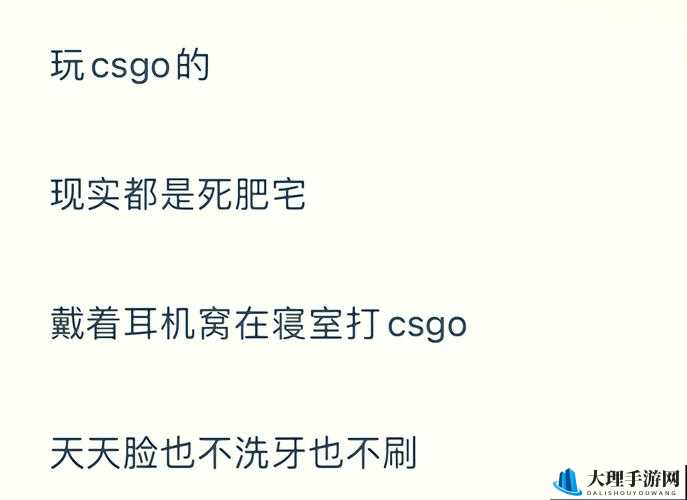 朴素暴躁老阿姨 CSGO 技巧之实战攻略