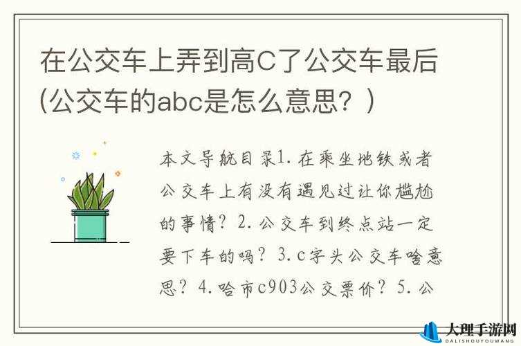 在公交车上弄到高 C 月哪个版本好：车上私密时刻的最佳选择