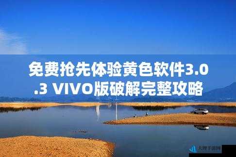 3.0.3 免费 vivo 版破解大全游戏：超多精彩玩法等你体验