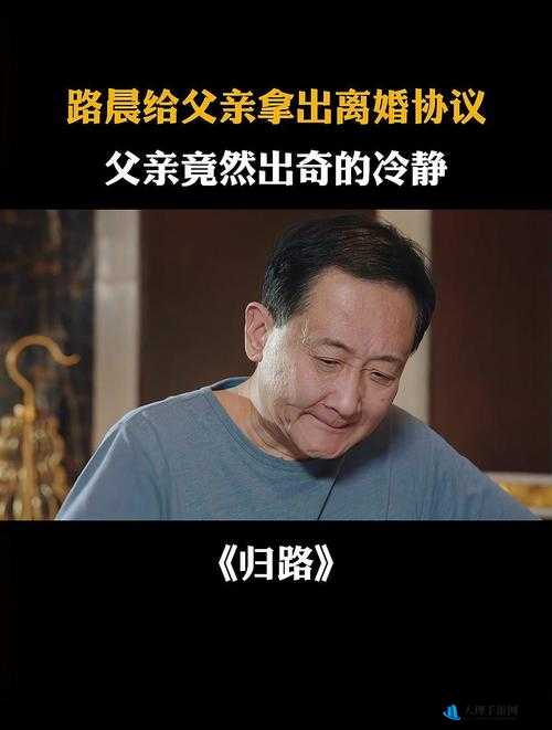 离婚后满足了父亲的要求：一段特殊亲情关系中的艰难抉择