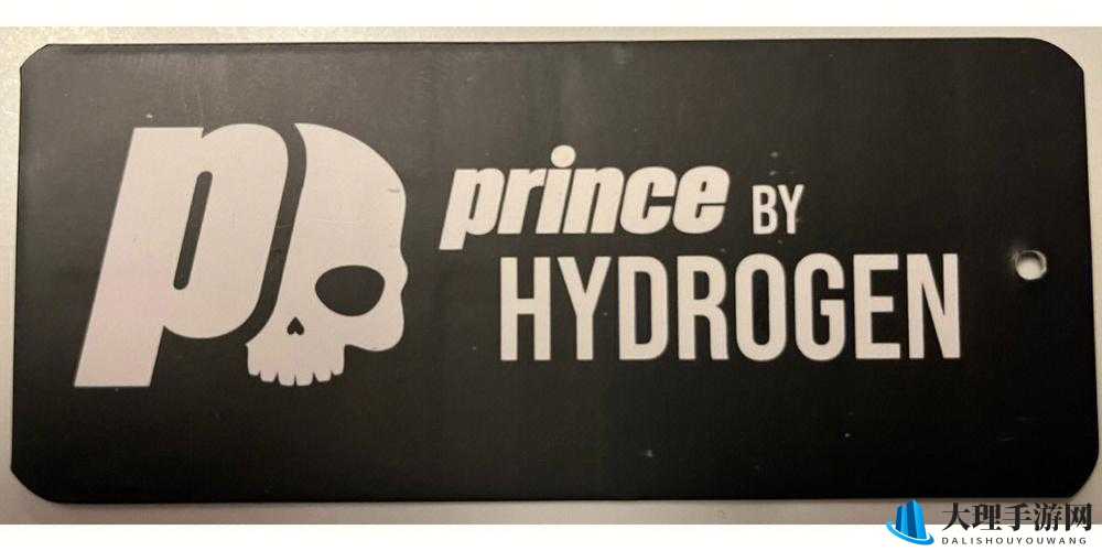 HYDROGEN 与 PRINCE：探索全新的氢王子之旅