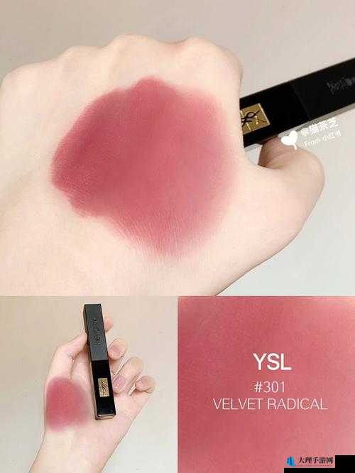 Ysl 蜜桃棕调色 APP ：让你的照片展现独特魅力的神器