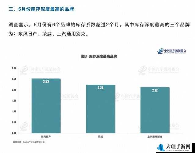 2020 亚洲日产：关于其发展历程与未来展望的详细分析