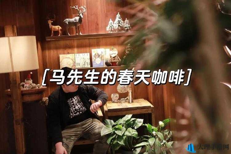 老马的春天顾晓婷更新时间：每周周周五 12-00-00