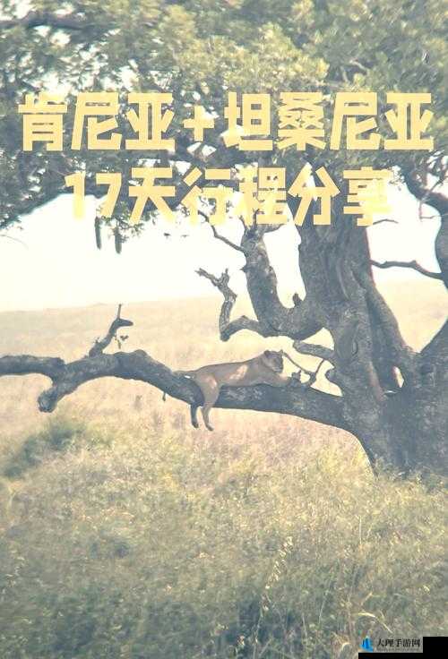 非洲老太婆 137：一场跨越文化与年龄的性探索之旅