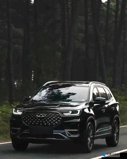 497799 欧洲版的国产 SUV 高性价比性能逆袭：市场新宠即将登场