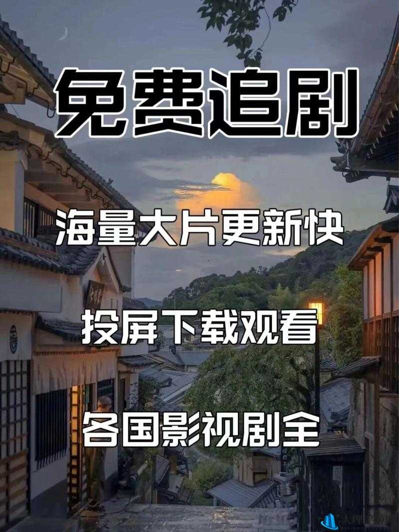 96533 电视影片在线观看：畅享精彩大片不容错过